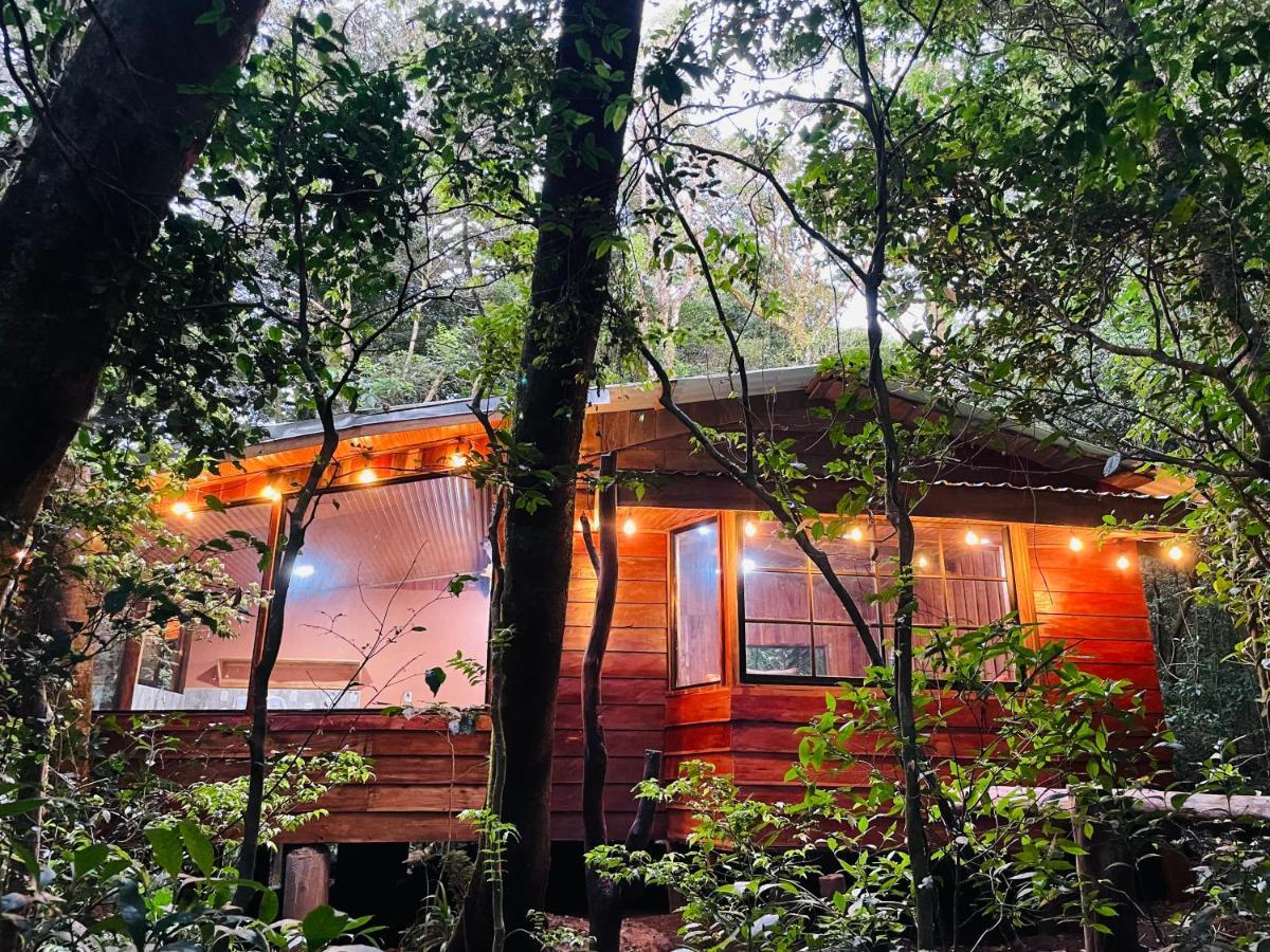 Cabañas La Montaña Monteverde Exterior foto