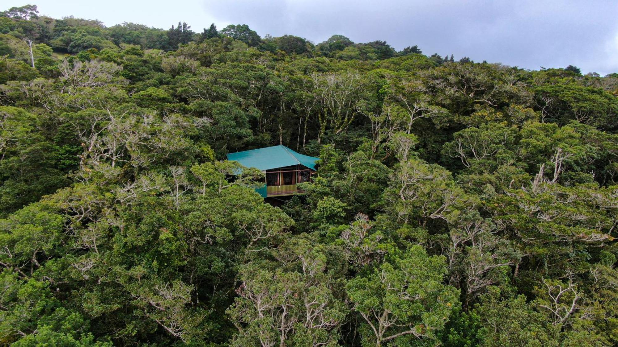 Cabañas La Montaña Monteverde Exterior foto