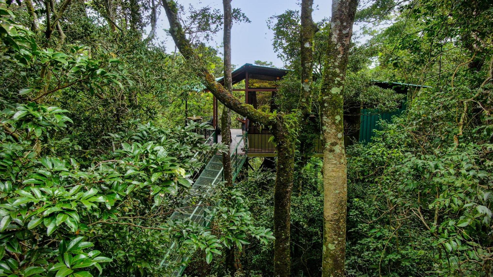 Cabañas La Montaña Monteverde Exterior foto