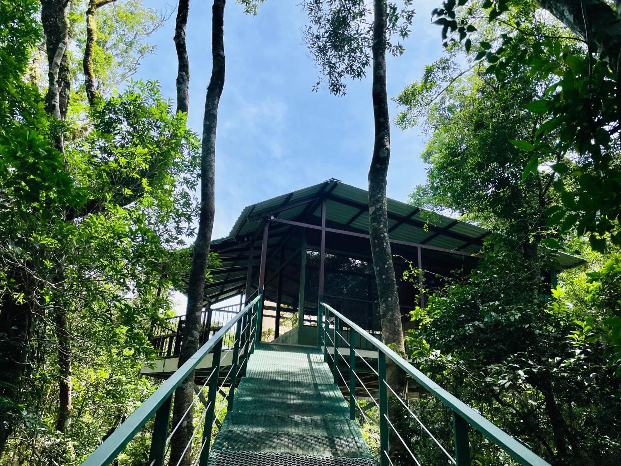 Cabañas La Montaña Monteverde Exterior foto